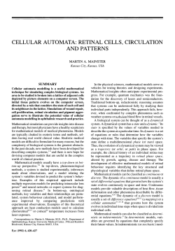 cellular automata