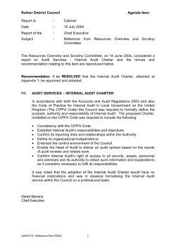 Rother District Council Agenda Item