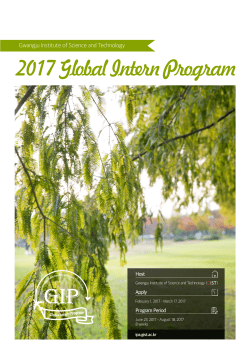2017 Global Intern Program