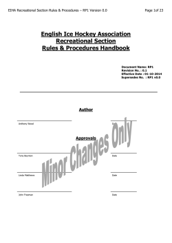 English Ice Hockey Association Recreational Section