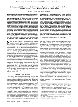 Differential Effects of Nitric Oxide on Erythroid and