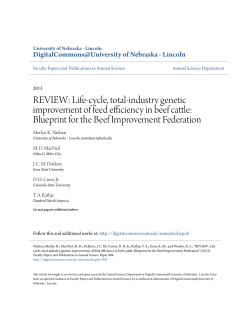 Life-cycle, total-industry genetic improvement of feed efficiency in