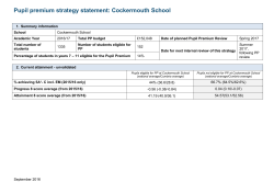 PP Strategy statement complete example for