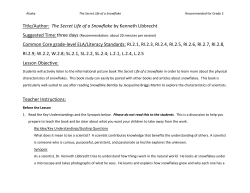 Secret Life of a Snowflake