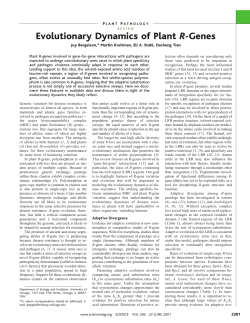 Evolutionary Dynamics of Plant R-Genes