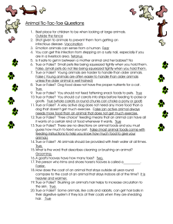 Animal Safety Tic-Tac-Toe Questions - 4