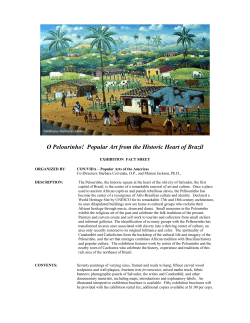 Fact Sheet - Pelourinho Show