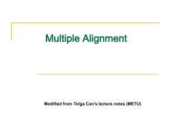 Progressive alignment