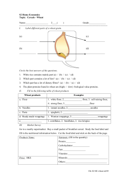 S2 cereals-wheat[1]