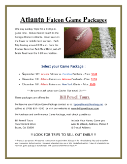 Atlanta Falcon Game Packages