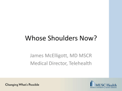 The Smart Grid - Palmetto Care Connections