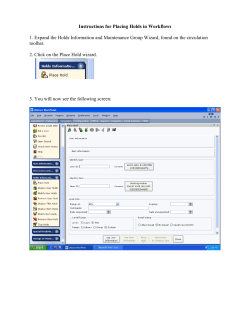 Instructions for Placing Holds in Workflows