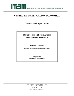 Risk and Risk Averse International Investors