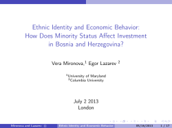 Ethnic Identity and Economic Behavior: How Does Minority