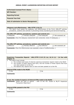 Annual MLRO Report Templatex