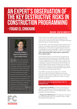 an expert`s observation of the key destructive risks