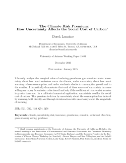 The Climate Risk Premium: How Uncertainty Affects the Social Cost