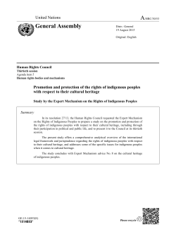 Promotion and protection of the rights of indigenous