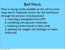 How is energy made available to the cell to move large starch