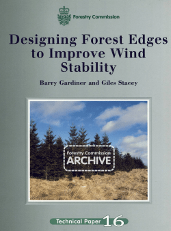 Designing forest edges to improve wind stability