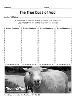 Author`s claim graphic organizer