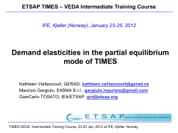 Demand elasticities in the partial equilibrium mode of TIMES
