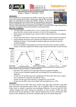 Ewes bred for resistance to gastrointestinal nematodes have lower