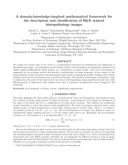 A domain-knowledge-inspired mathematical framework for the