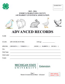 1997 up market livestock record book