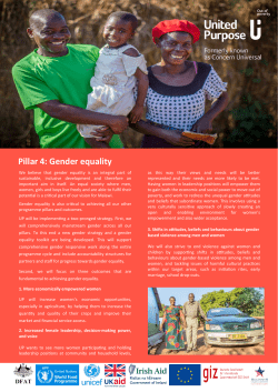 Pillar 4: Gender equality
