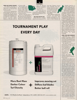 TOURNAMENT PLAY EVERY DAY