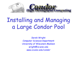 The Condor Daemons - HEPiX Services at CASPUR