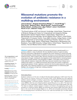 Ribosomal mutations promote the evolution of antibiotic resistance