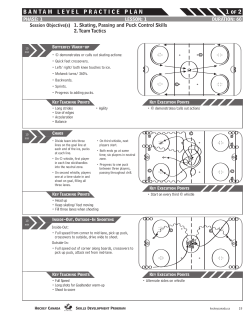 BANTAM LEVEL PRACTICE PLAN 1 of 2