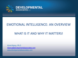 emotional intelligence: an overview