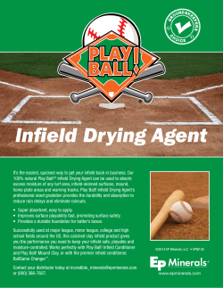 Play Ball! Infield Drying Agent Flyer