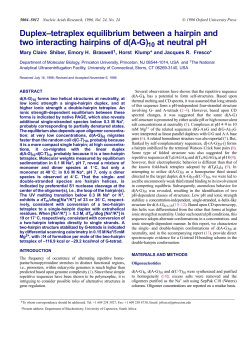 Duplex&ndash;tetraplex equilibrium between a hairpin and two interacting