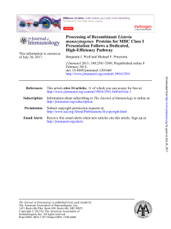 High-Efficiency Pathway Presentation Follows a Dedicated, Proteins