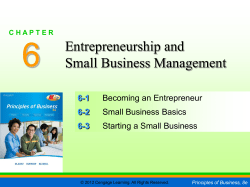 Entrepreneurship and Small Business Management