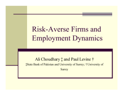 Risk-Averse Firms and Employment Dynamics