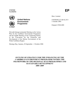 outline of STRATEGY FOR THE enhancing OF THE CARIBBEAN