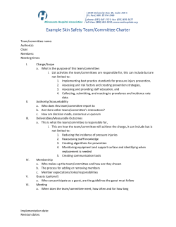 Example Skin Safety Team/Committee Charter