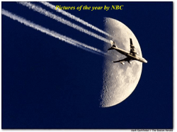 Pictures of the year