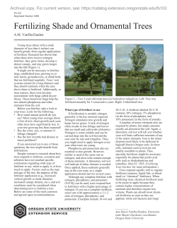 Fertilizing Shade and Ornamental Trees