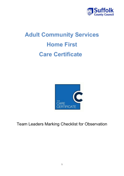 Team leader`s observation marking checklist for