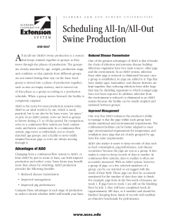 Scheduling All-In/All-Out Swine Production