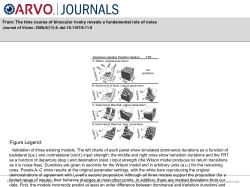 Slide - Journal of Vision