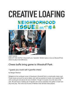 Chess buffs bring game to Woodruff Park
