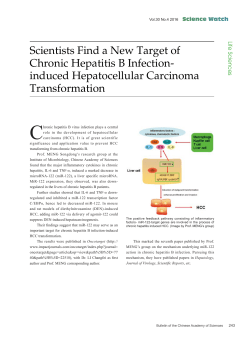 Scientists Find a New Target of Chronic Hepatitis B Infection