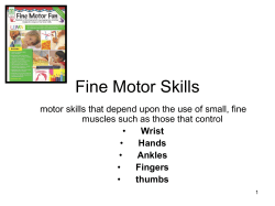 Fine Motor Skills